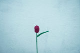 Tulip Flower | Handmade Crochet Festival Decoration | Artisan Made In India | Eco-Friendly| 100% Cotton |