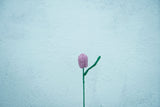 Tulip Flower | Handmade Crochet Festival Decoration | Artisan Made In India | Eco-Friendly| 100% Cotton |